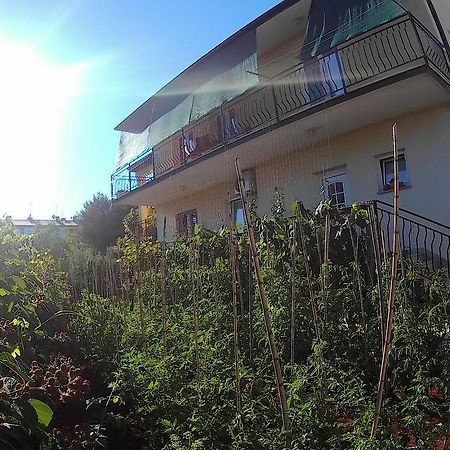 Lea Apartment Умаг Екстер'єр фото